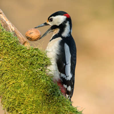 SurfSideSafe Was Built With Heart — Not Ego