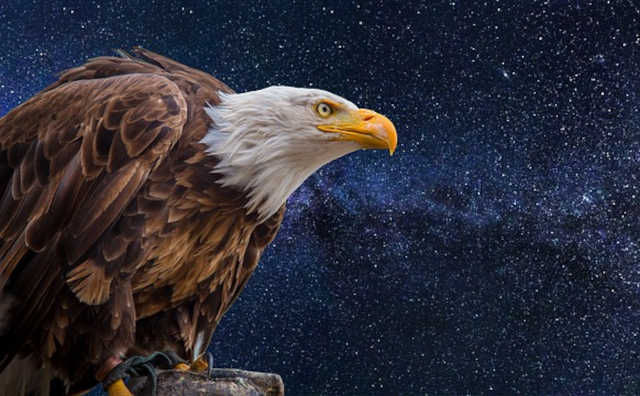 How Apple and Auburn Played a Large Part in the Making of SurfSideSafe