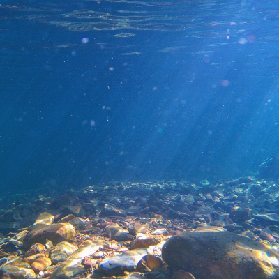 Exploring the Deepest Trenches: 6 Secrets of the Ocean Floor Revealed