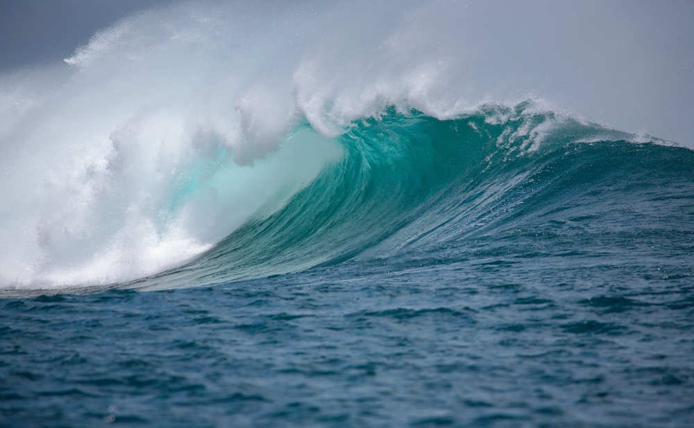 Join SurfSideSafe — Where Every Post Has the Chance to Go Viral