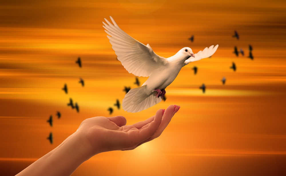 Imagine a World Where Your Online Life Belongs to You, Only You, and No One Else: The Utopia of Social Media