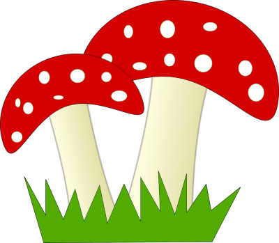 What Makes SurfSideSafe Different from Other Social Media Platforms