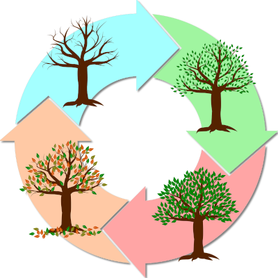 SurfSideSafe category-Seasonal