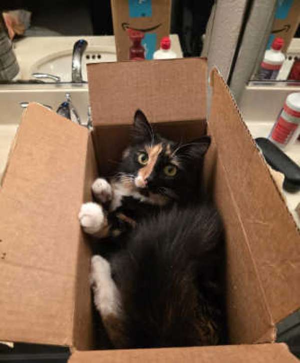 1001111-Holly-Anders photo upload