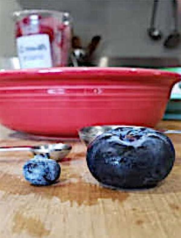 1001111-Holly-Anders photo upload