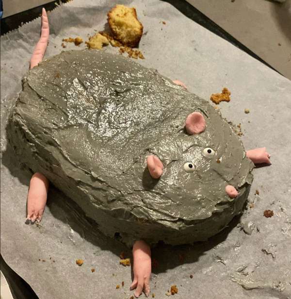 1001112-SueAnn-Lindley photo upload