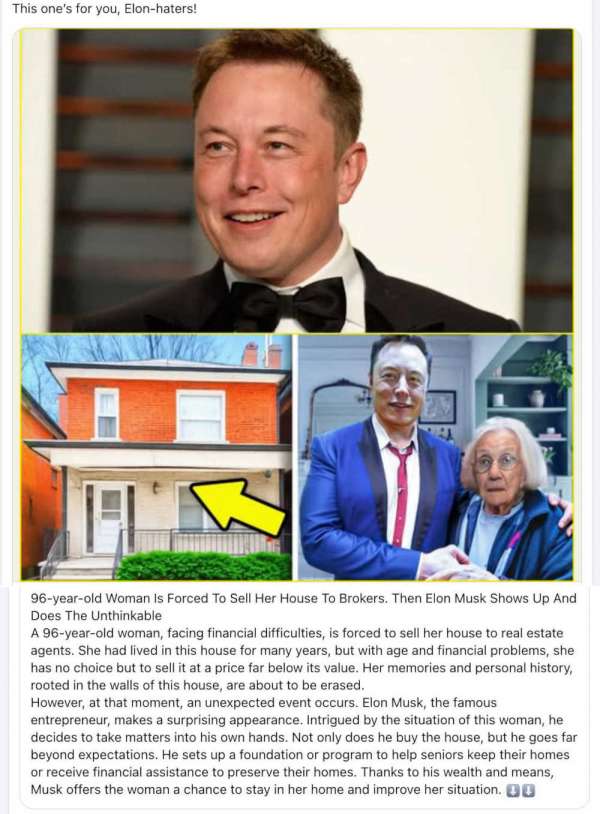 1001116-Mandy-DiAngelo photo upload