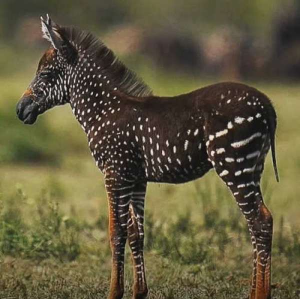 1001183-MaryKate-Barton photo upload